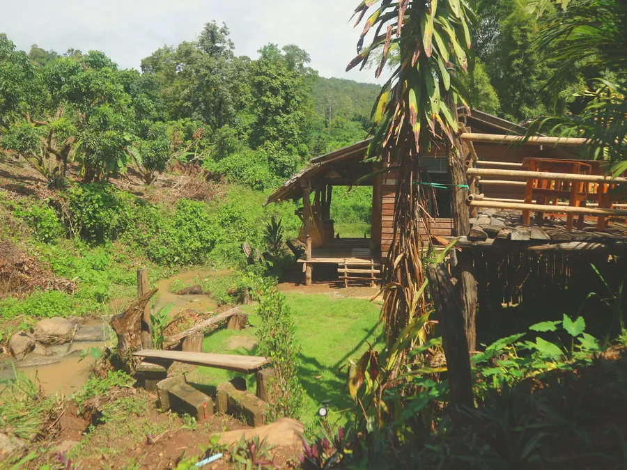 Village house among tall trees